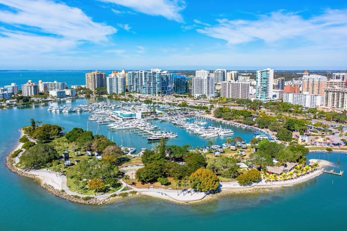 Sarasota | Chicago Addick